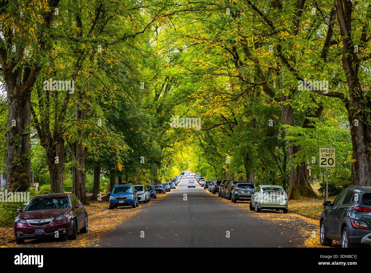 Portland, OR, USA - 09 ottobre 2025: Una vista panoramica cattura l'area residenziale di Ladd's Additional, mostrando le sue strade diagonali uniche e ce Foto Stock