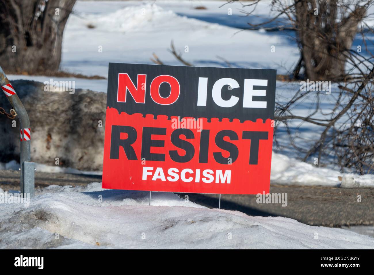 Little Canada, Minnesota. Segno di cortile che dice niente ghiaccio, resisti al fascismo Foto Stock