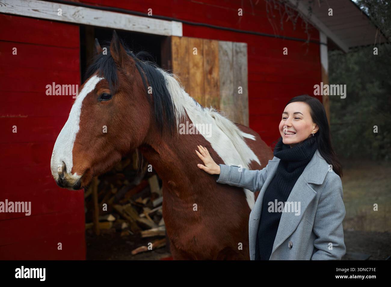 la donna si trova accanto a un cavallo marrone e bianco in una stalla. Sorride e tocca delicatamente il cavallo mentre il fienile sta dietro di loro. l'impostazione mostra una a. Foto Stock