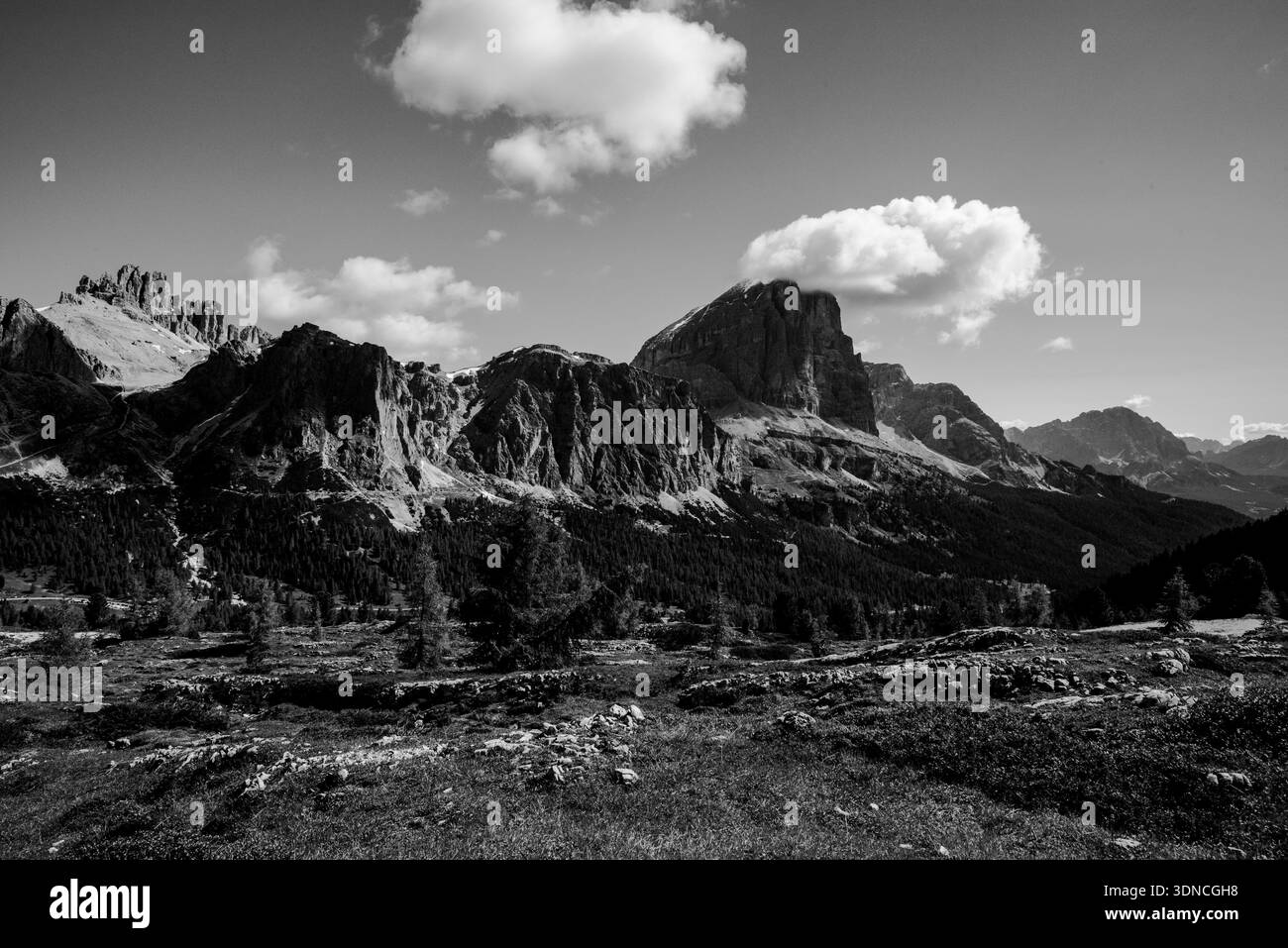 Panorama primaverile dei prati verdi delle Dolomiti con neve e rocce rosa al passo di Falzarego a Cortina d'Ampezzo Belluno Italia Foto Stock