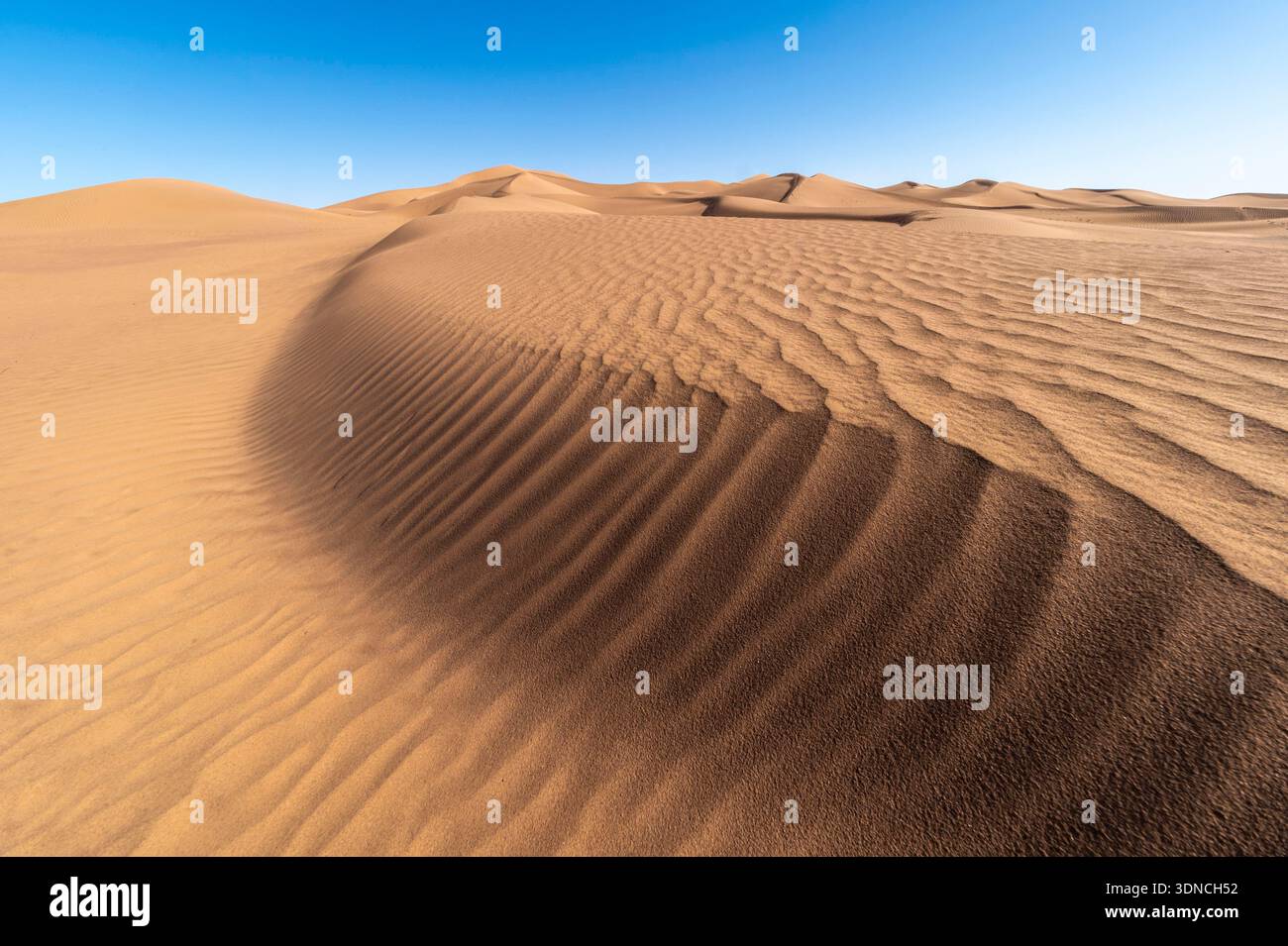 Marocco, Sahara, regione di Drâa-Tafilalet, M'Hamid El Ghizlane, Erg El Rhoul, fuga dalle acque Foto Stock