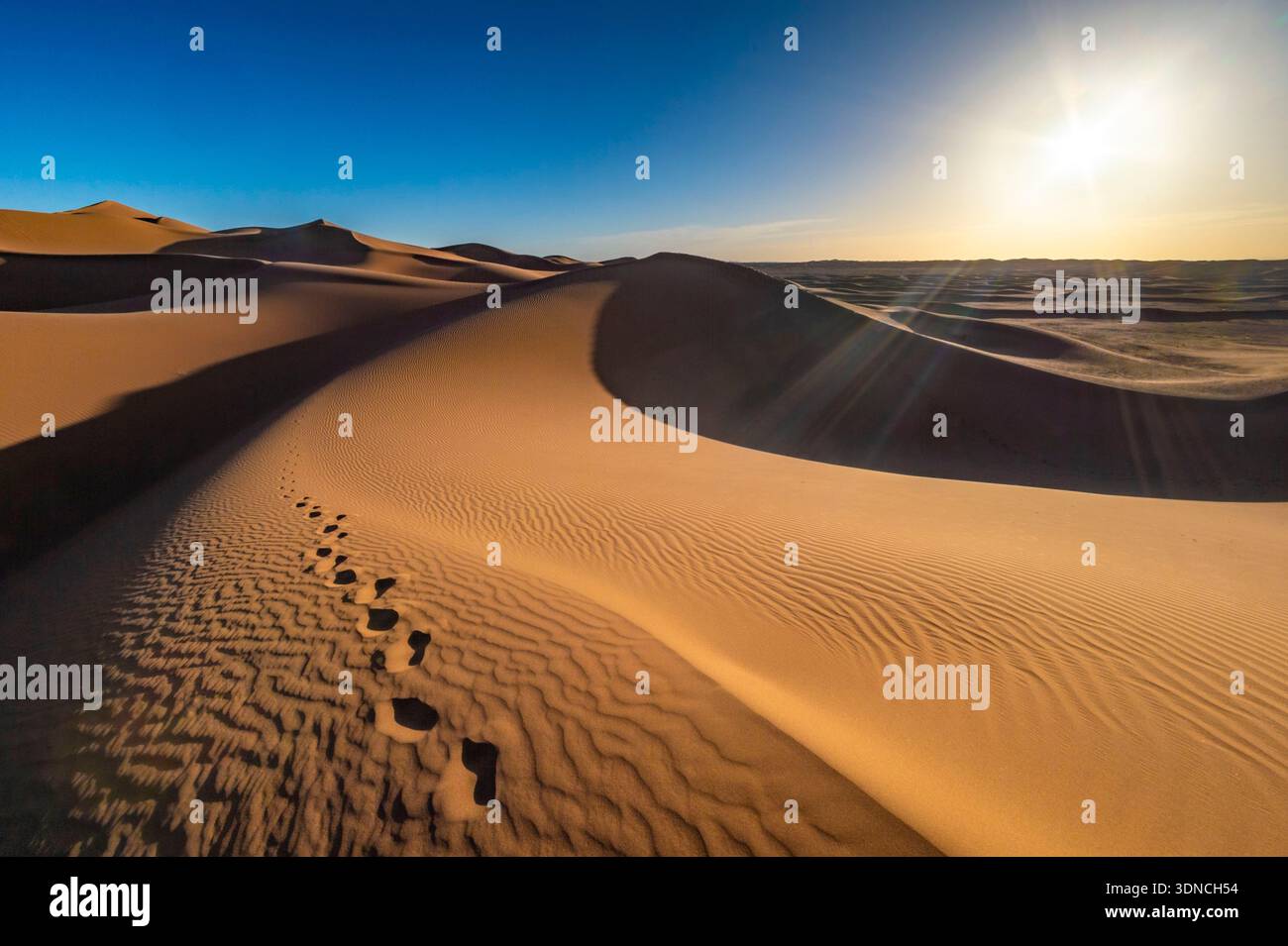 Marocco, Sahara, regione di Drâa-Tafilalet, M'Hamid El Ghizlane, trekking al tramonto tra le dune Foto Stock