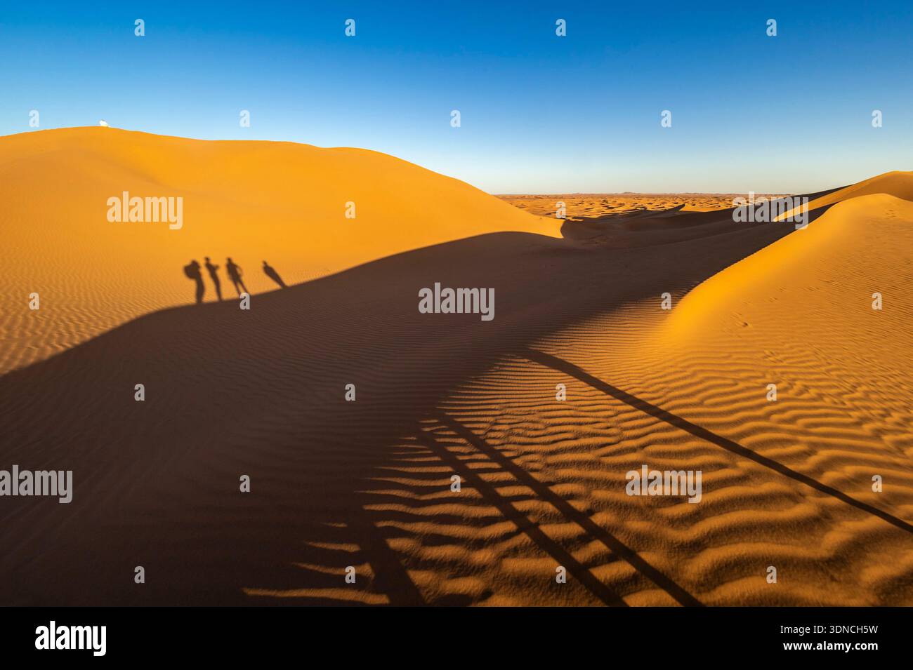 Marocco, Sahara, regione di Drâa-Tafilalet, M'Hamid El Ghizlane, trekking al tramonto tra le dune Foto Stock