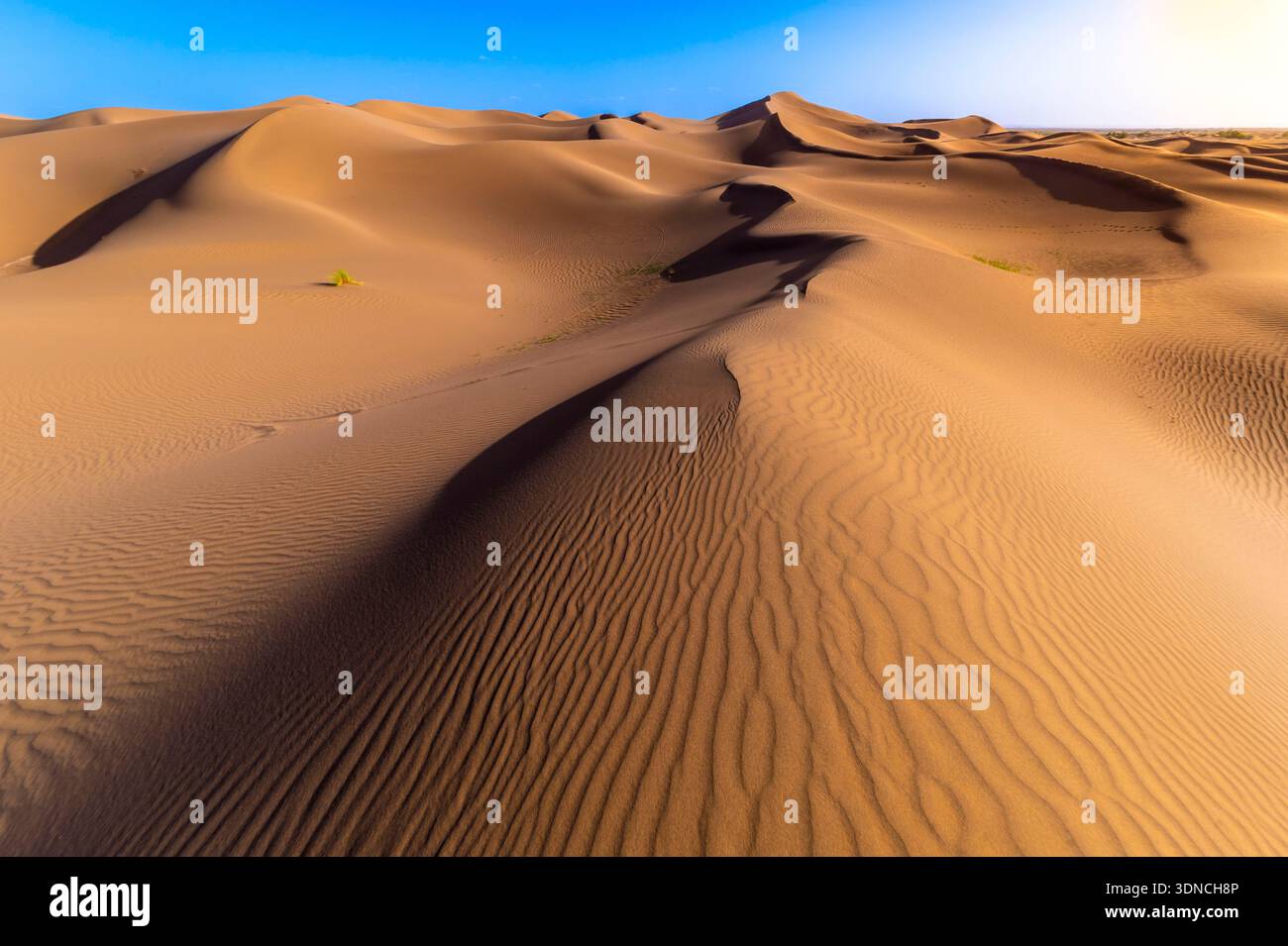 Marocco, Sahara, regione di Drâa-Tafilalet, M'Hamid El Ghizlane, trekking tra le dune di Khert El Galzim Foto Stock