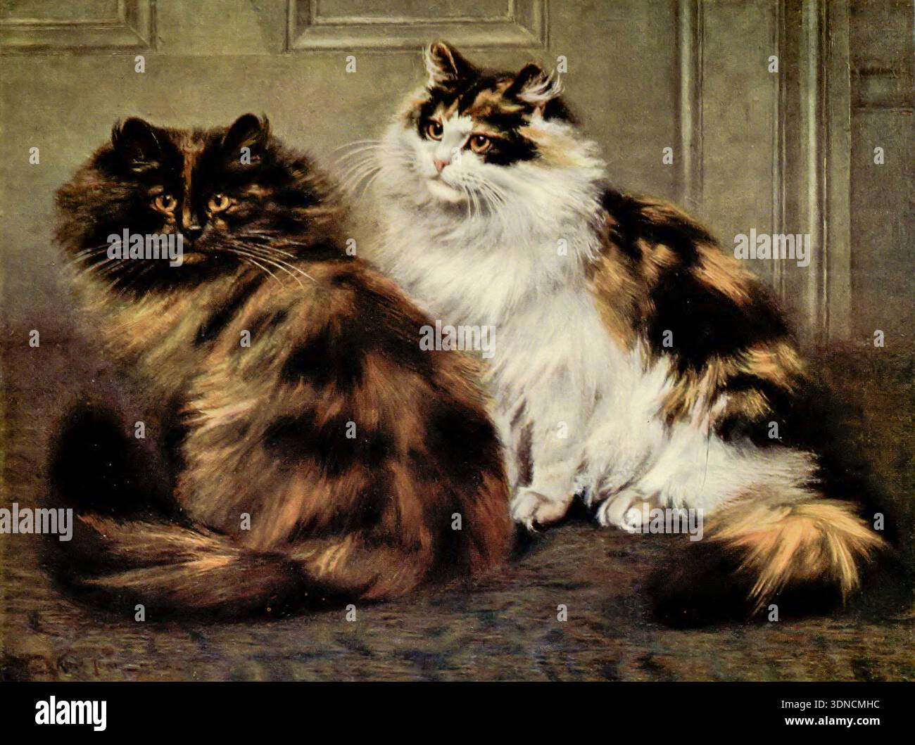 Tartarughe e gatti persiani calico seduti al chiuso, raffiguranti compagnia domestica e le caratteristiche distintive dei felini dai capelli lunghi in un'illustrazione d'arte vintage da " il libro del gatto " di Simpson, Frances, Miss data di pubblicazione 1903 Editore Cassell e società, Limited Foto Stock