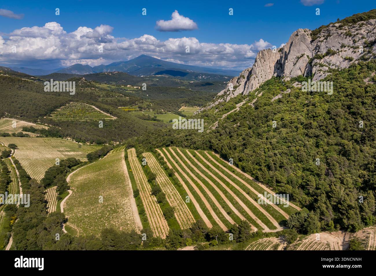 Francia, Vaucluse, Dentelles de Montmirail, montagna delle Dentelles Sarrasines e vigneti terrazzati, Mont Ventoux sullo sfondo (vista aerea) Foto Stock