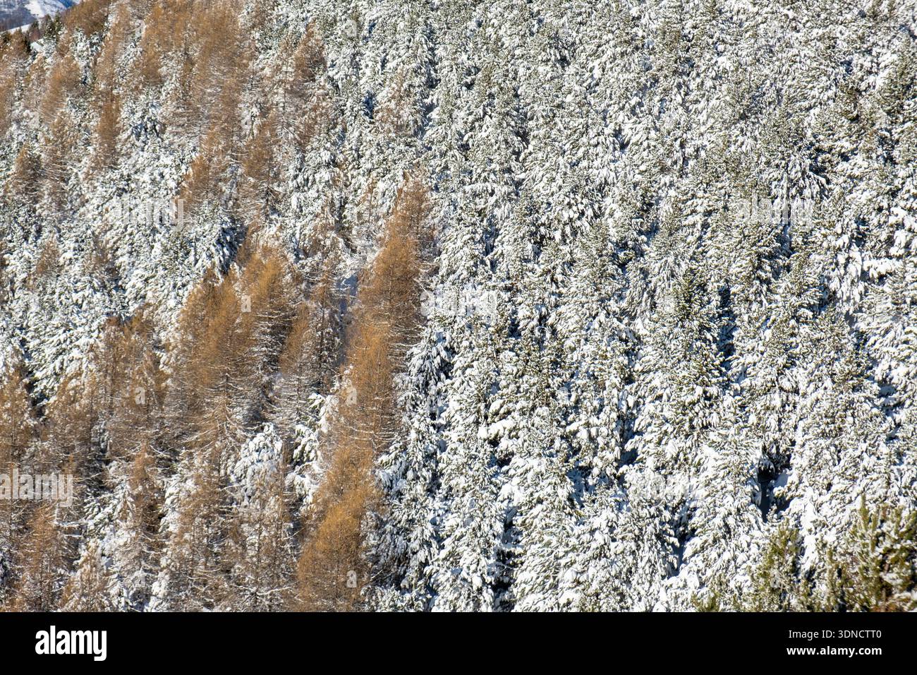Francia, Isere, Oisans massiccio, Les Deux Alpes ski resort Foto Stock