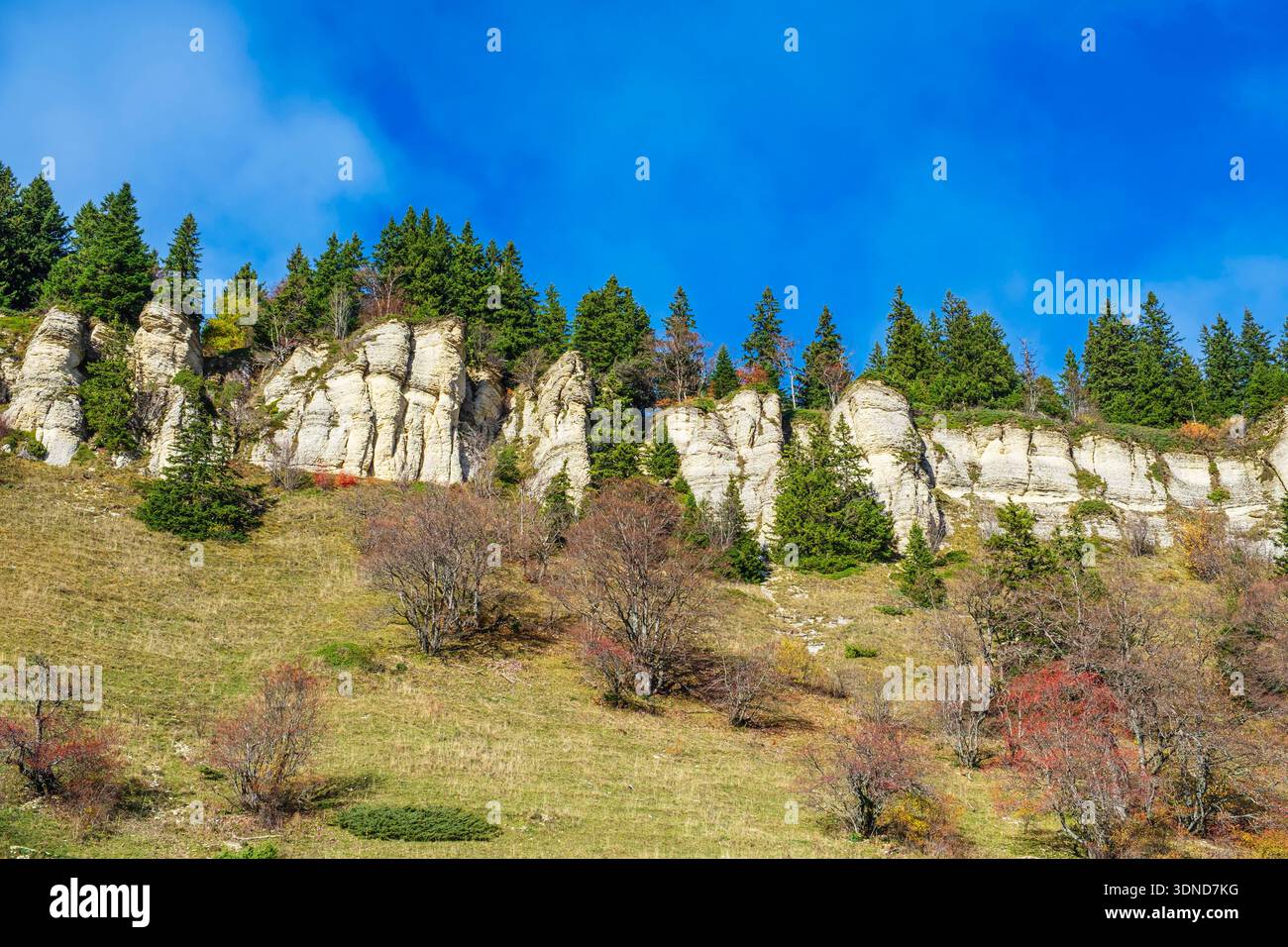 Francia, Isere, Parco naturale regionale del Vercors, comune di Engins, creste che si affacciano sull'altopiano di Moliere Foto Stock