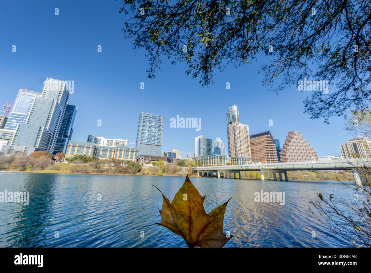 Una foglia galleggia sulla superficie di un lago di fronte allo skyline della città. La foglia è un simbolo del cambiamento delle stagioni e della bellezza della natura. Il cit Foto Stock