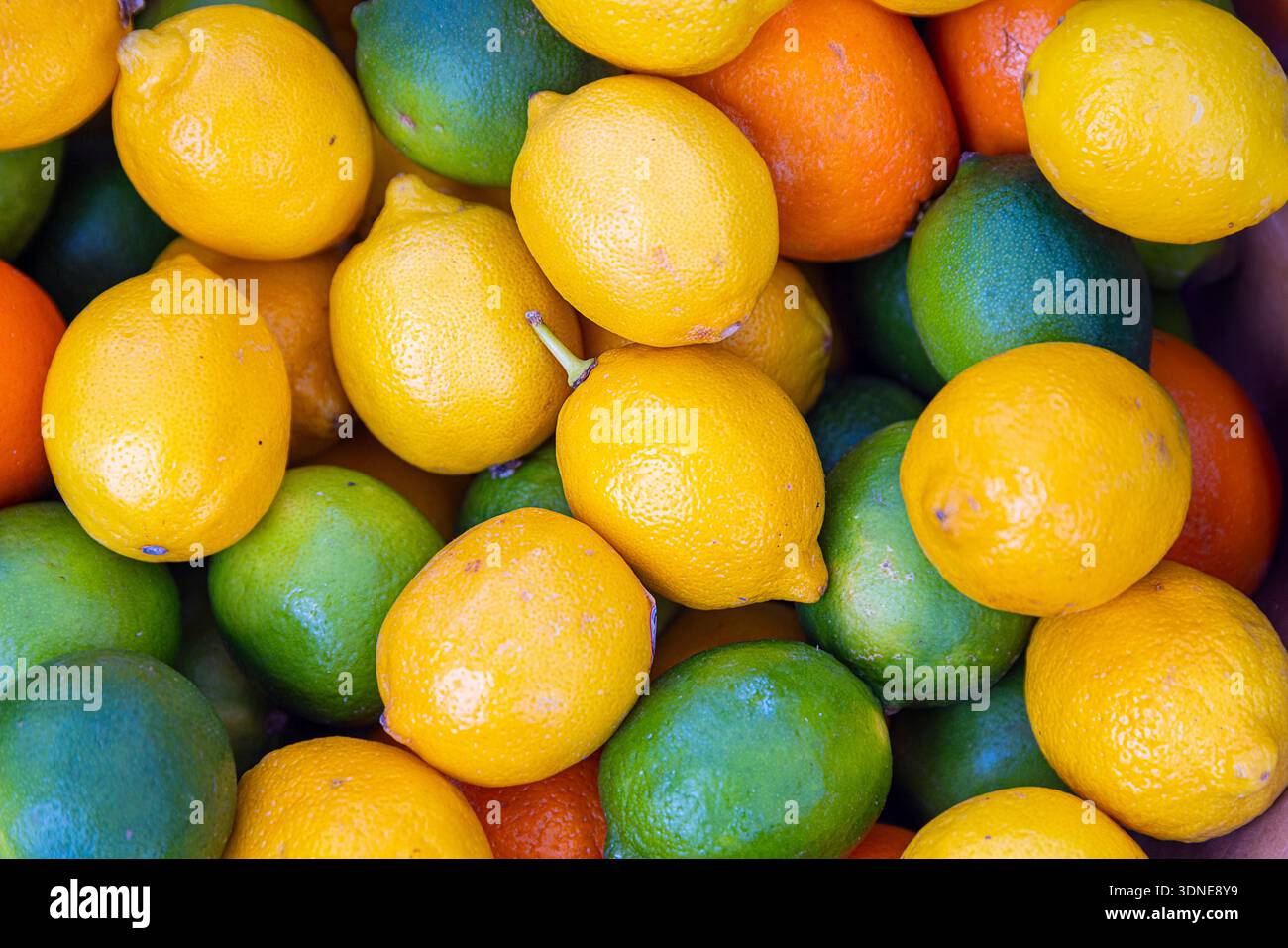 Agrumi in diversi colori Foto Stock