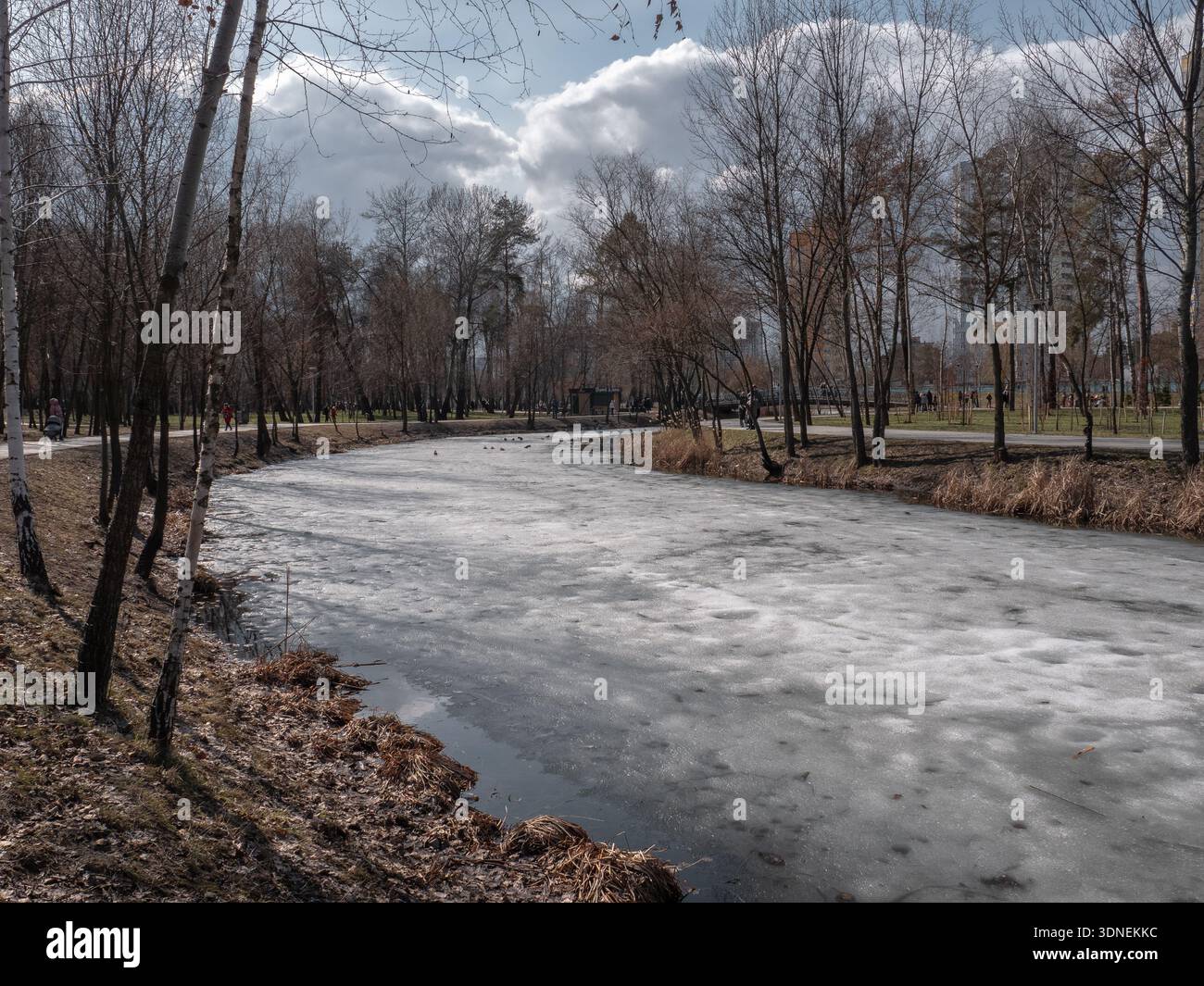 Laghetto ghiacciato con ghiaccio grigio e blu e alberi di serpente sulle rive. Parco invernale a Kiev, Ucraina. Foto Stock