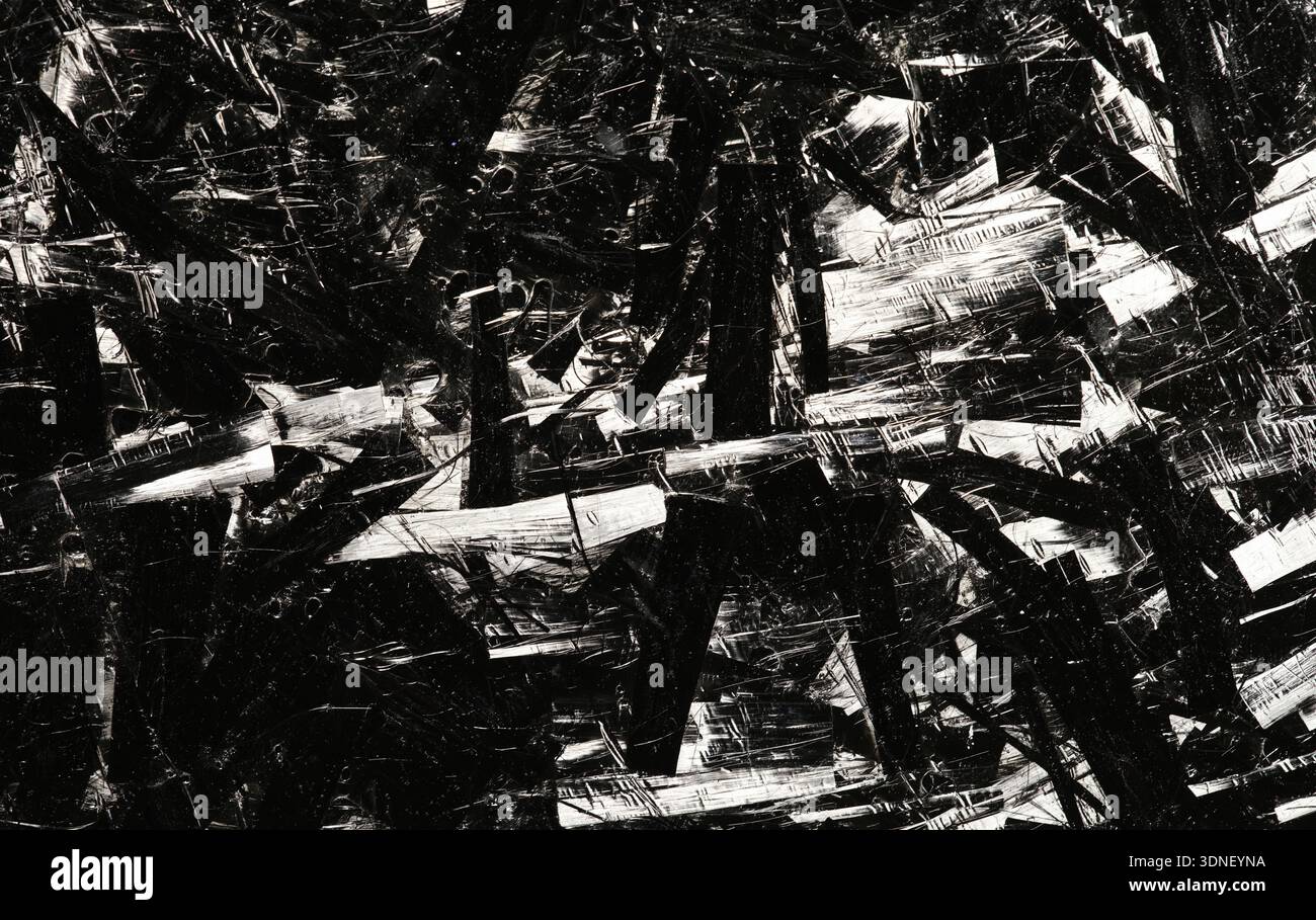 Gli intricati motivi di bianco e nero creano un'affascinante danza di texture e luce in una composizione astratta Foto Stock