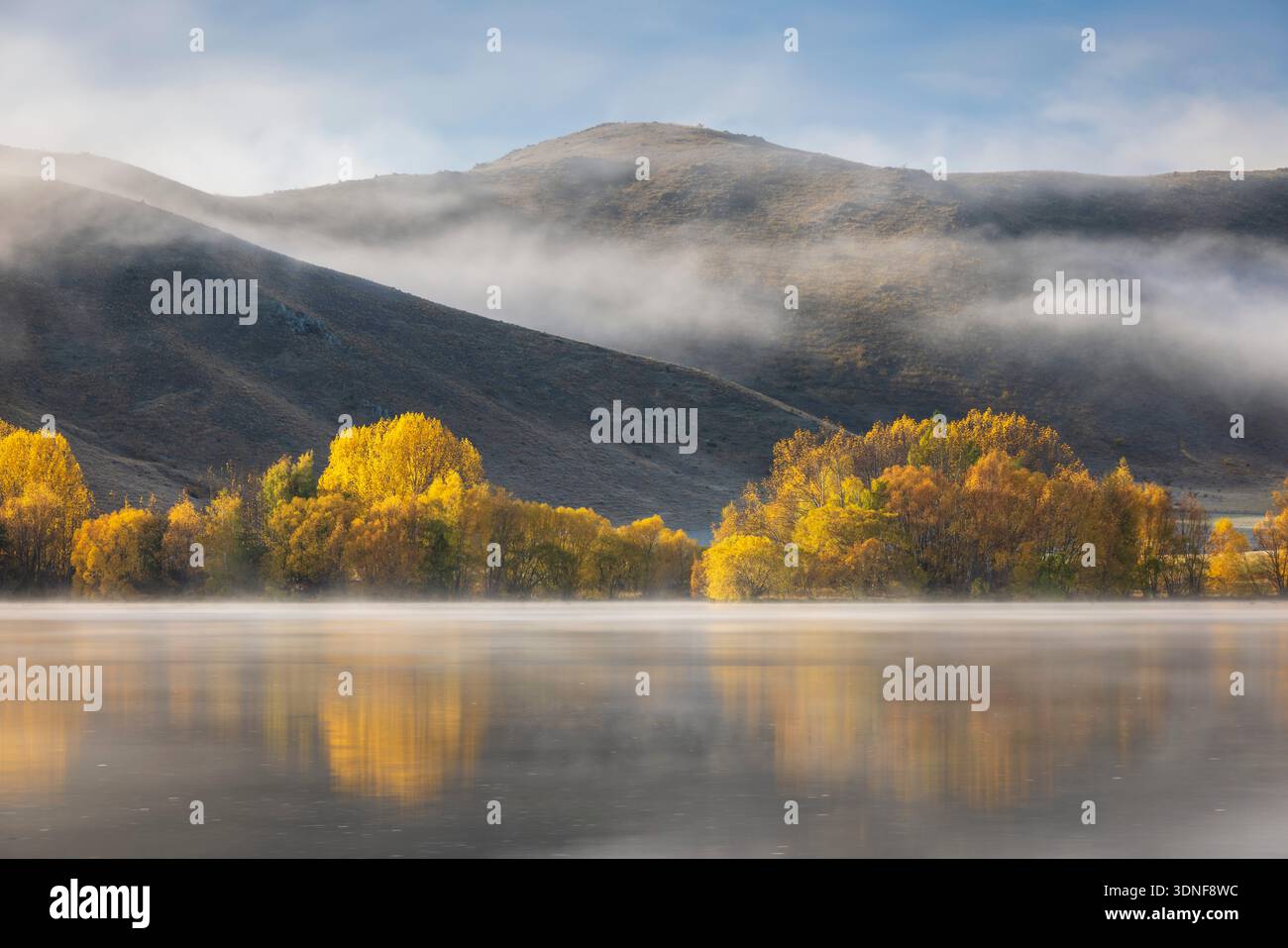 Alberi autunnali e nebbia a Wairepo Arm vicino a Twizel nell'Isola del Sud, nuova Zelanda. Autunno (maggio) 2025. Foto Stock