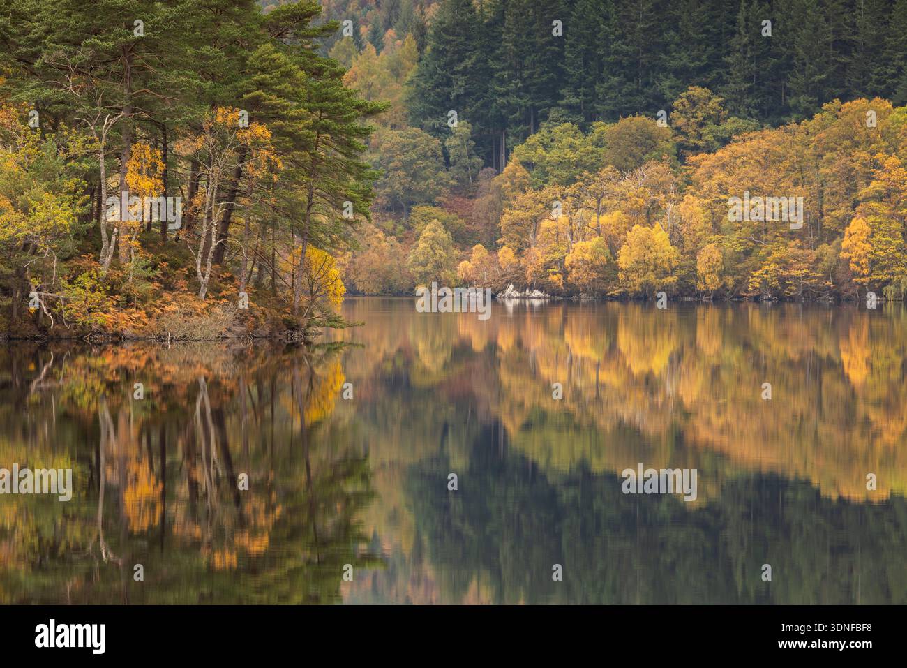 Riflessioni autunnali sul Loch Katrine a Loch Lomond e sul Trossachs National Park, Perthshire, Scozia. Autunno (ottobre) 2025. Foto Stock