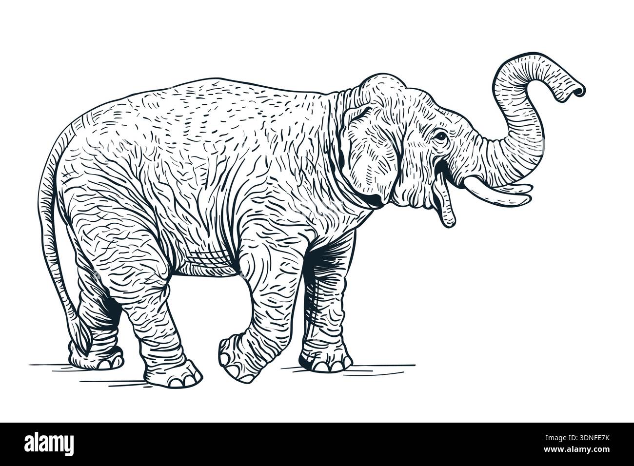 Disegno dell'elefante. Illustrazione animale dello schizzo vettoriale isolata su sfondo bianco. Stampa alla moda o elemento di design per poster Illustrazione Vettoriale