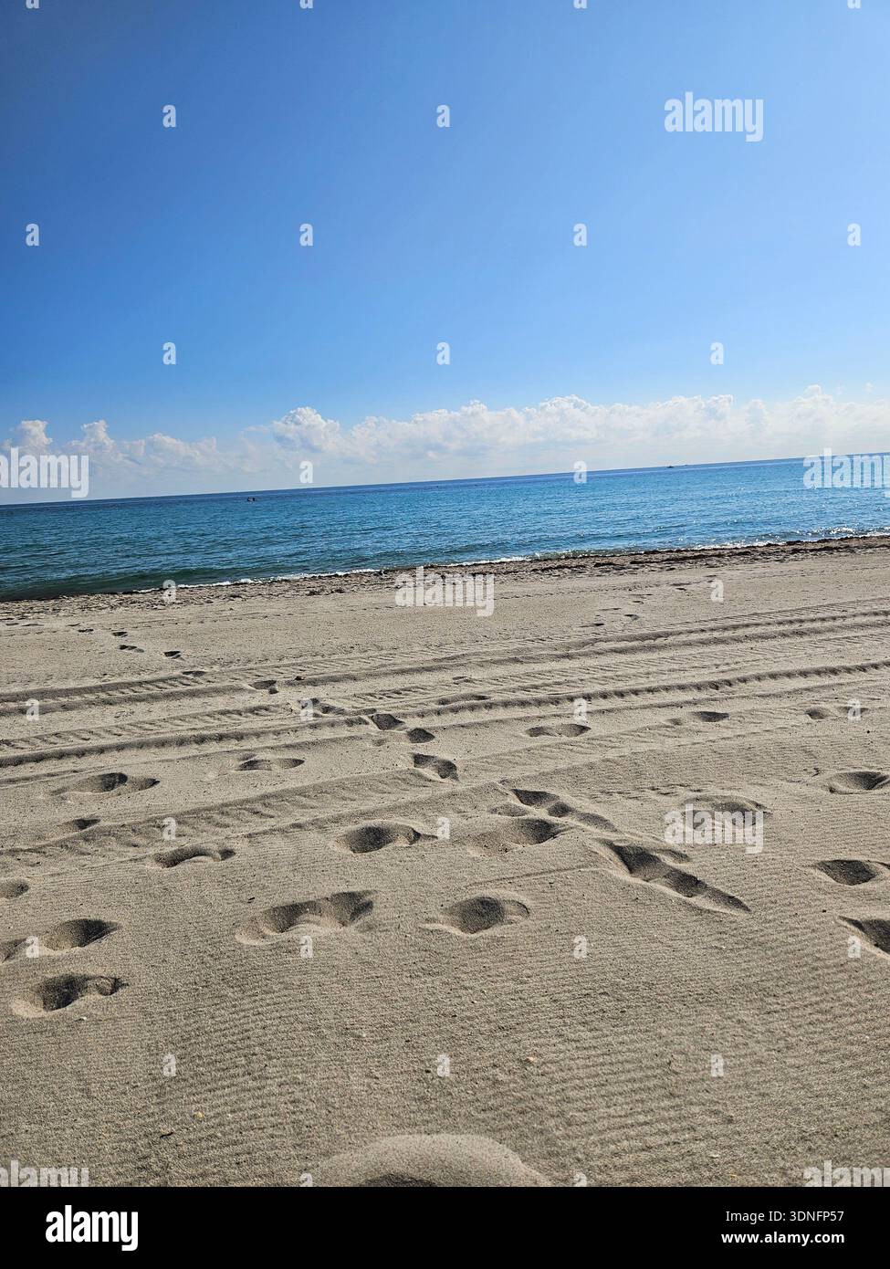 SOLO PER USO EDITORIALE - HOLLYWOOD BEACH FLORIDA: Una spiaggia sabbiosa ben curata a Hollywood Beach che mostra tracce di pneumatici dai veicoli di manutenzione e impronte che portano verso l'Oceano Atlantico. L'orizzonte presenta un cielo azzurro limpido con una linea distinta di nuvole di cumulus. Gli equipaggi di manutenzione della spiaggia di Hollywood rastrellano e livellano ogni giorno la striscia di sabbia di 8 km per rimuovere i detriti e preparare il litorale per turisti e residenti. - Immagine stock catturata con smartphone
