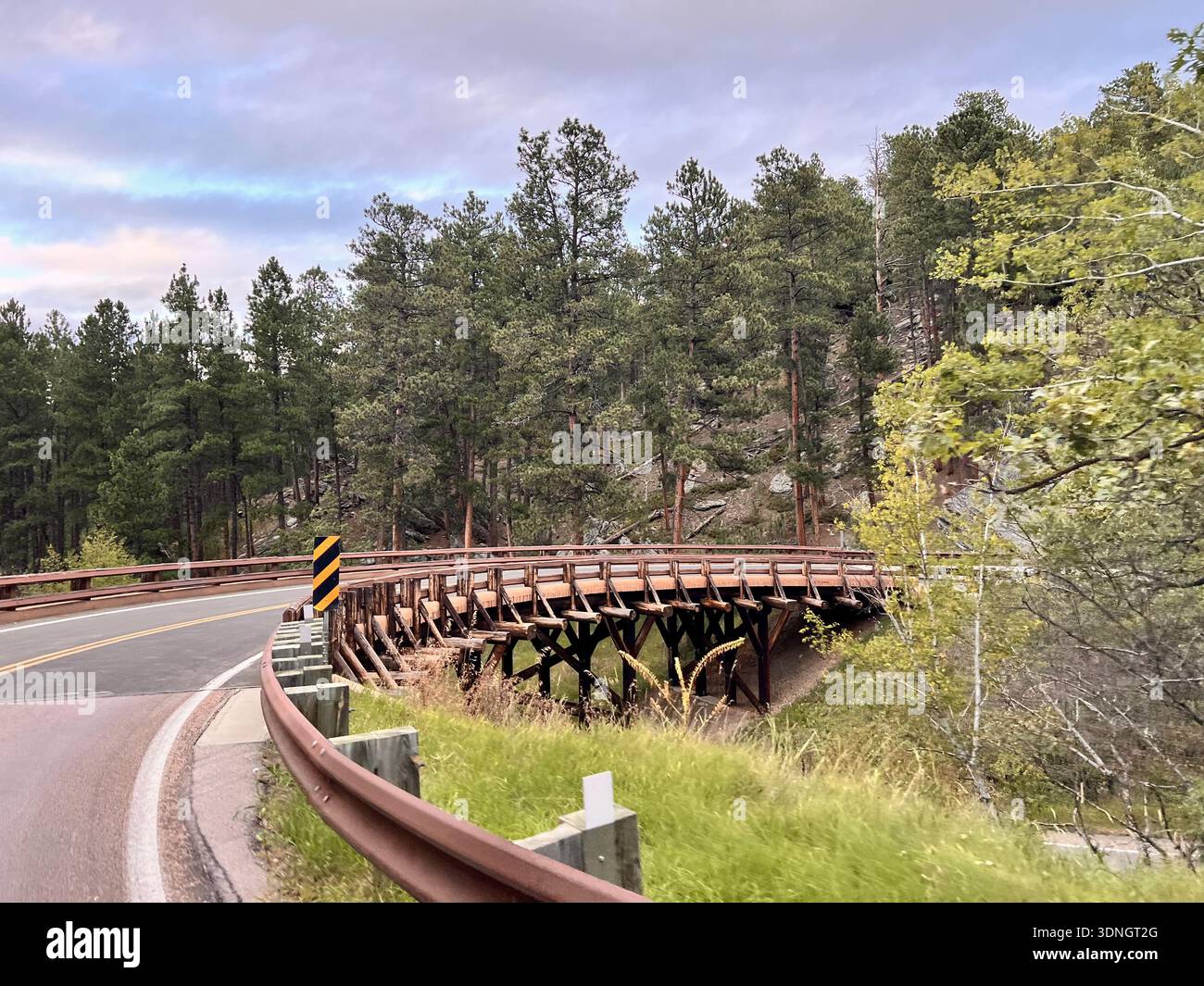 Ponte curvo in legno su Mountain Road circondato dalla fitta foresta di pini - Immagine stock catturata con smartphone