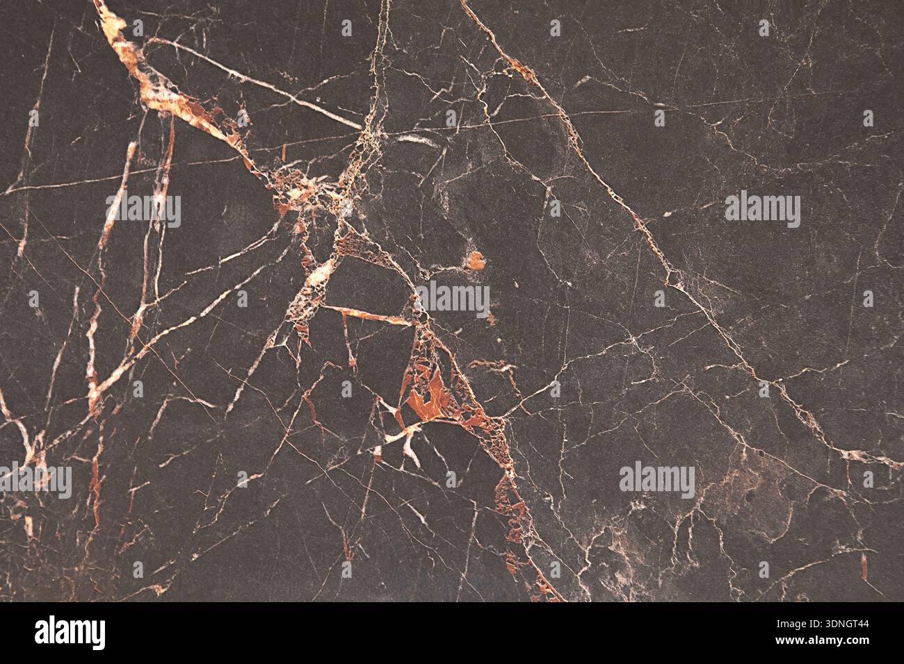 Vista ravvicinata di una lussuosa superficie in marmo nero che mostra intricati motivi di venature dorate e bianche. Questa elegante pietra impreziosisce ogni spazio Foto Stock