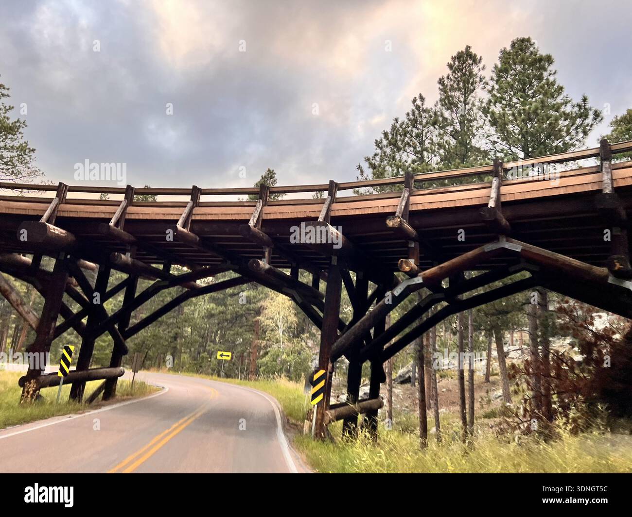 Ponte curvo in legno su Mountain Road circondato dalla fitta foresta di pini - Immagine stock catturata con smartphone