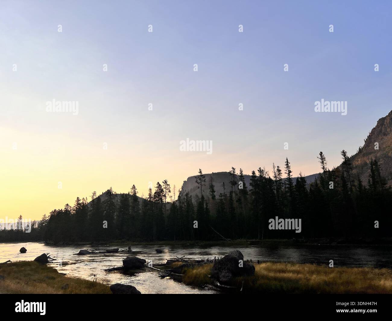 Il vapore si innalza da una vasta pianura dorata rivelando un suggestivo paesaggio geotermico incorniciato da foresta e cielo azzurro. - Immagine stock catturata con smartphone