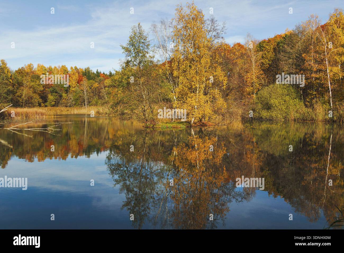 Piccolo lago forestale con magnifici colori autunnali che si riflettono nell'acqua, in Germania, Baviera, Isental Foto Stock