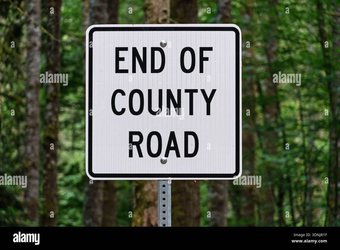 l'estremità bianca e nera del cartello stradale della contea con la foresta dietro di esso Foto Stock