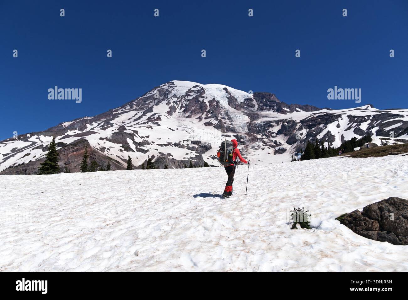Alpinista donna che fa trekking sulla neve verso Camp Muir e Mount Rainier nella Cascade Range di Washington Foto Stock