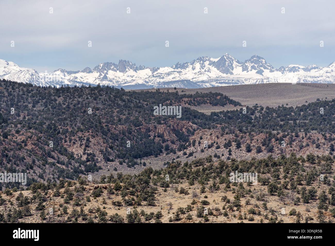 Il lontano Minaret Range include Mount Ritter e Banner dal Chidago Canyon Peak Foto Stock