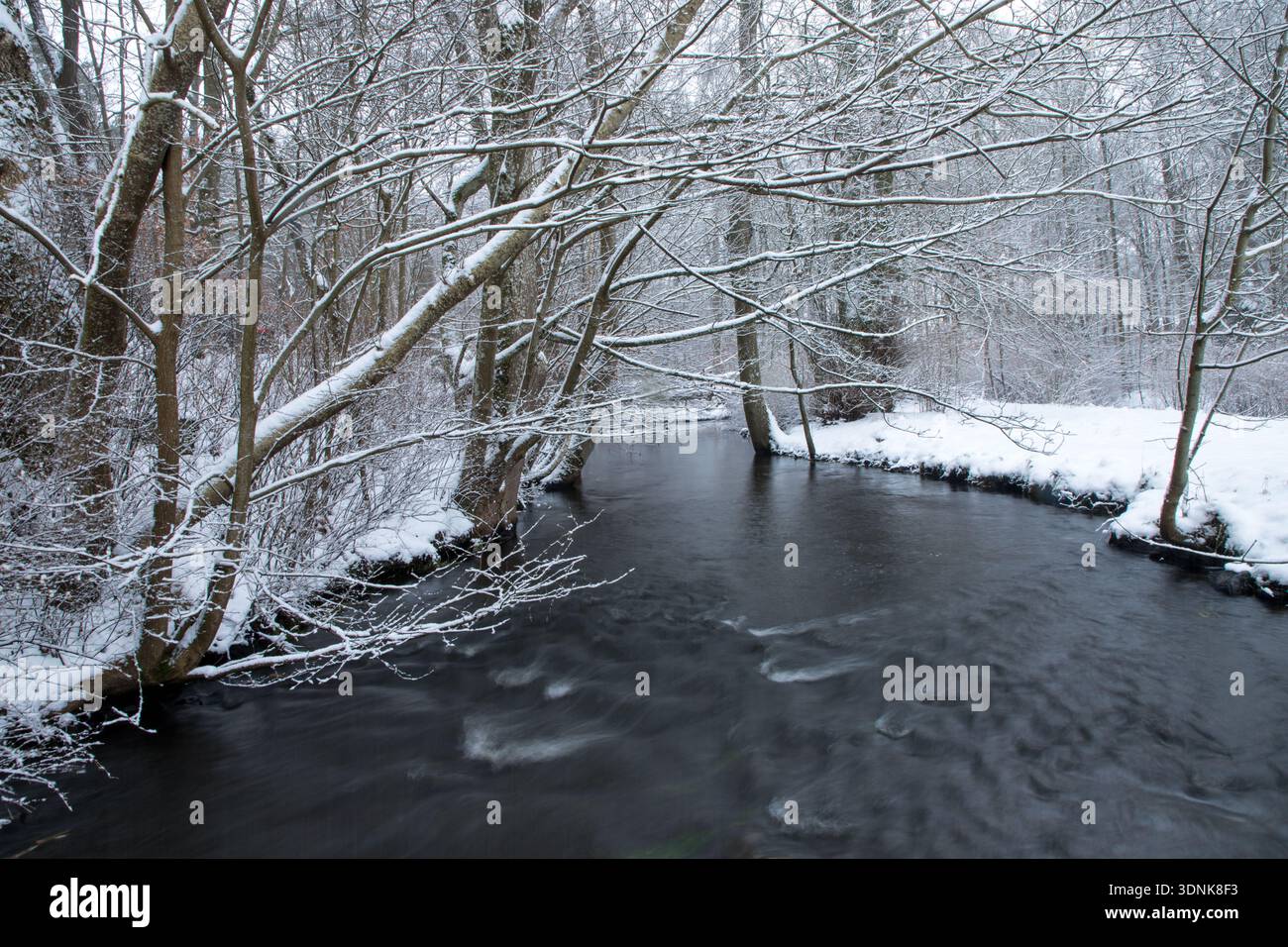 fiume nel paesaggio invernale con neve e alberi lungo il fiume e lente chiusure che creano acqua liscia Foto Stock