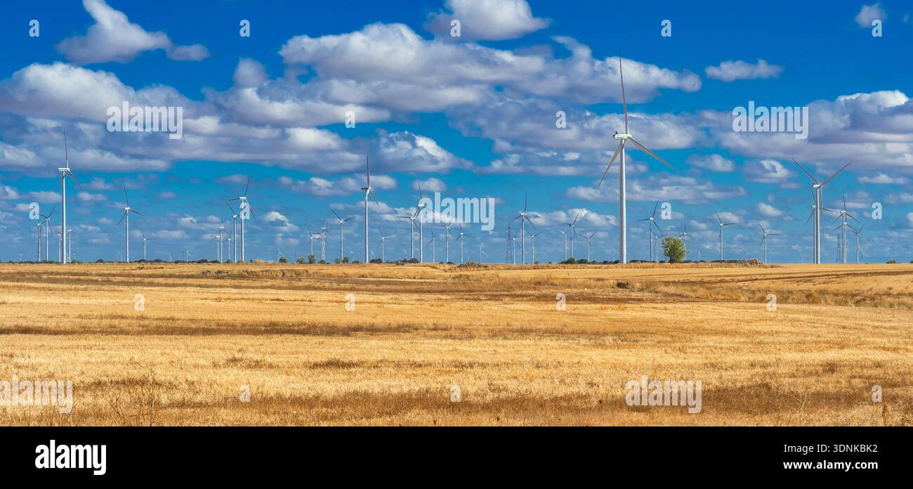 Mulini a vento campi energia rinnovabile, Spagna Foto Stock