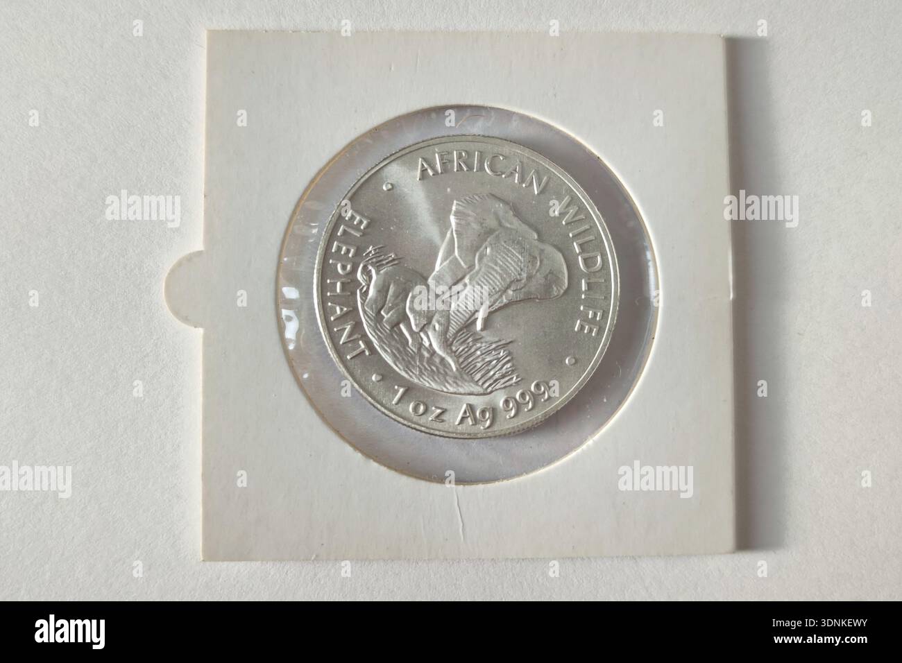 Una moneta d'argento da un'oncia del 1999, elefante d'argento Zambia in supporto Foto Stock