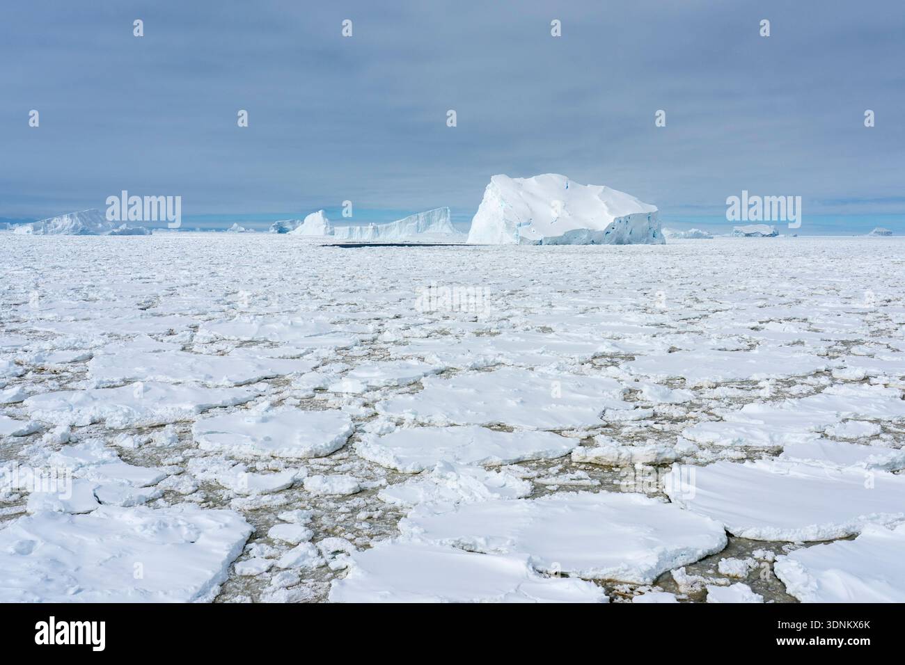 Ghiaccio marino e iceberg, Crystal Sound, Antartide. Foto Stock