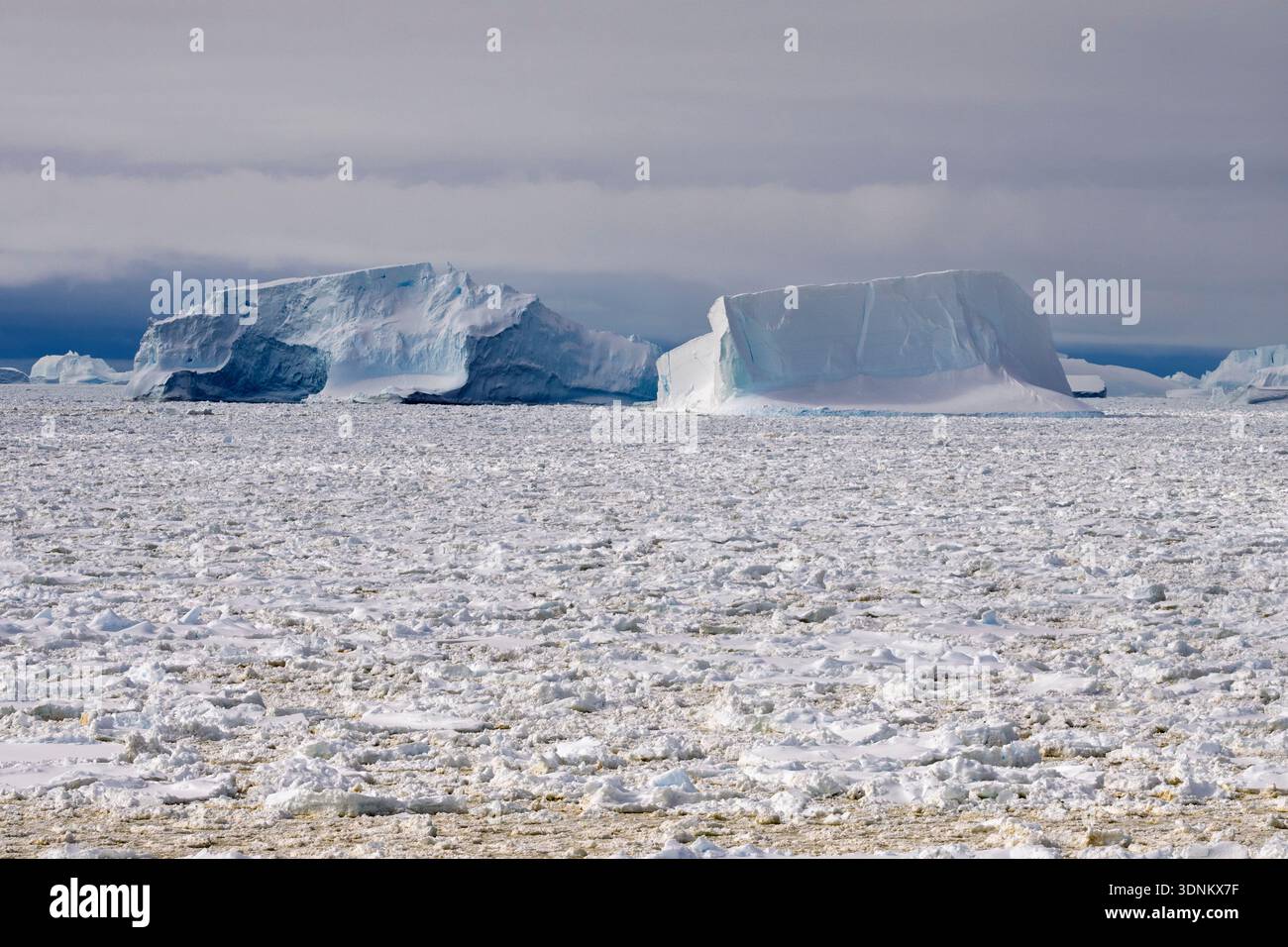 Ghiaccio marino e iceberg, Crystal Sound, Antartide. Foto Stock