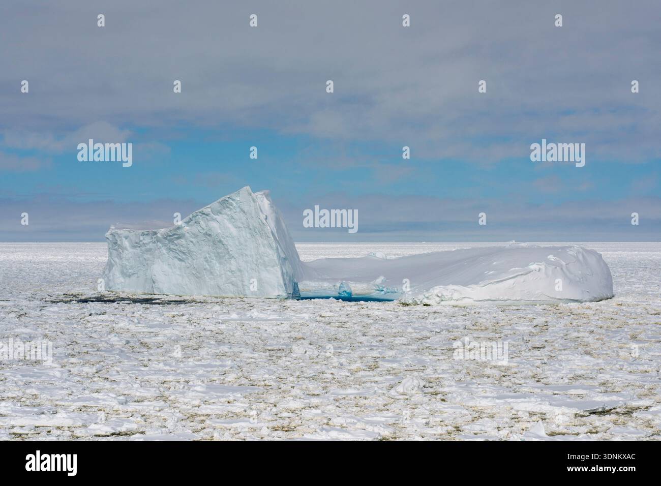 Ghiaccio marino e iceberg, Crystal Sound, Antartide. Foto Stock
