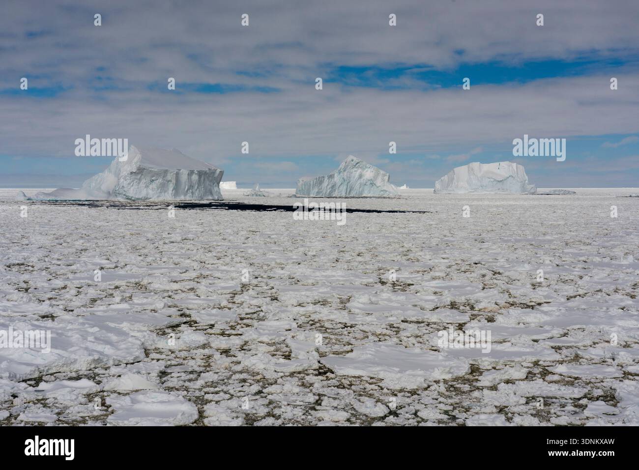 Ghiaccio marino e iceberg, Crystal Sound, Antartide. Foto Stock