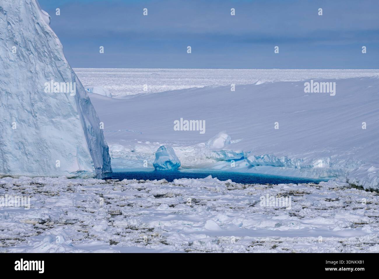 Ghiaccio marino e iceberg, Crystal Sound, Antartide. Foto Stock