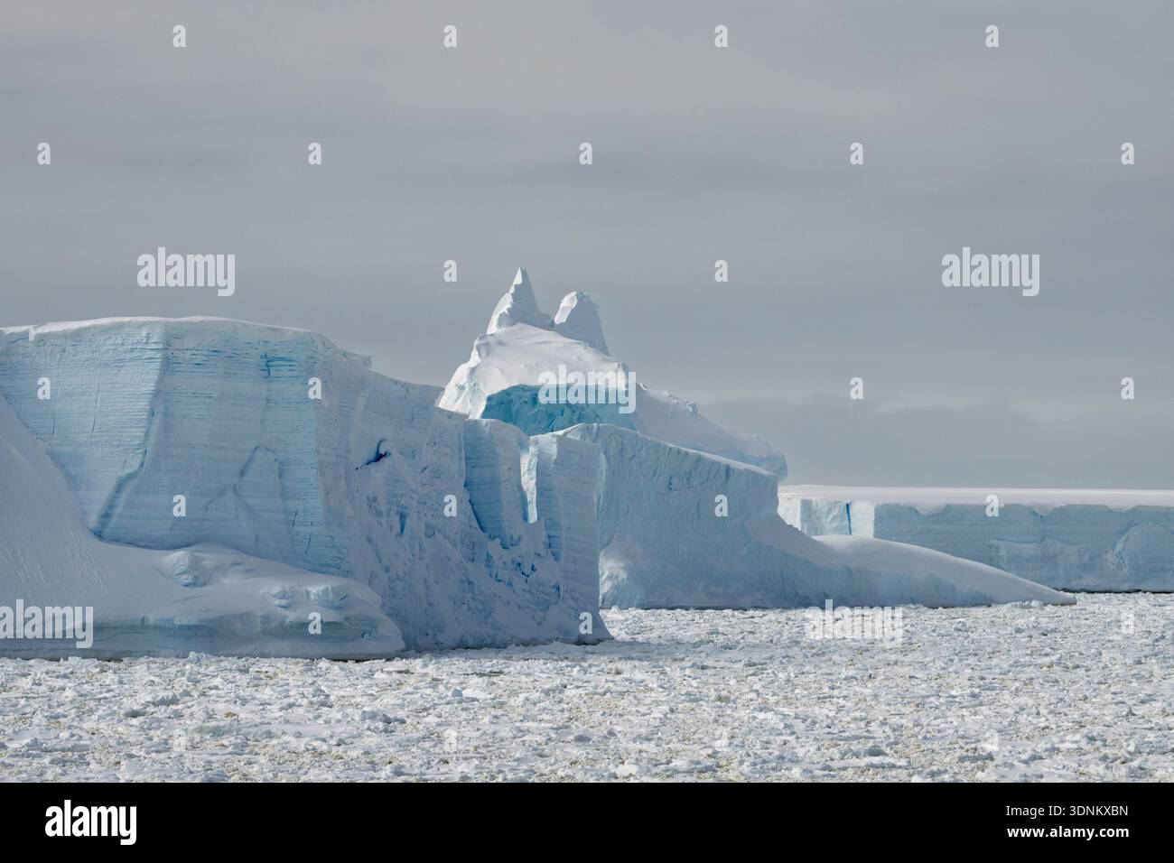 Ghiaccio marino e iceberg, Crystal Sound, Antartide. Foto Stock