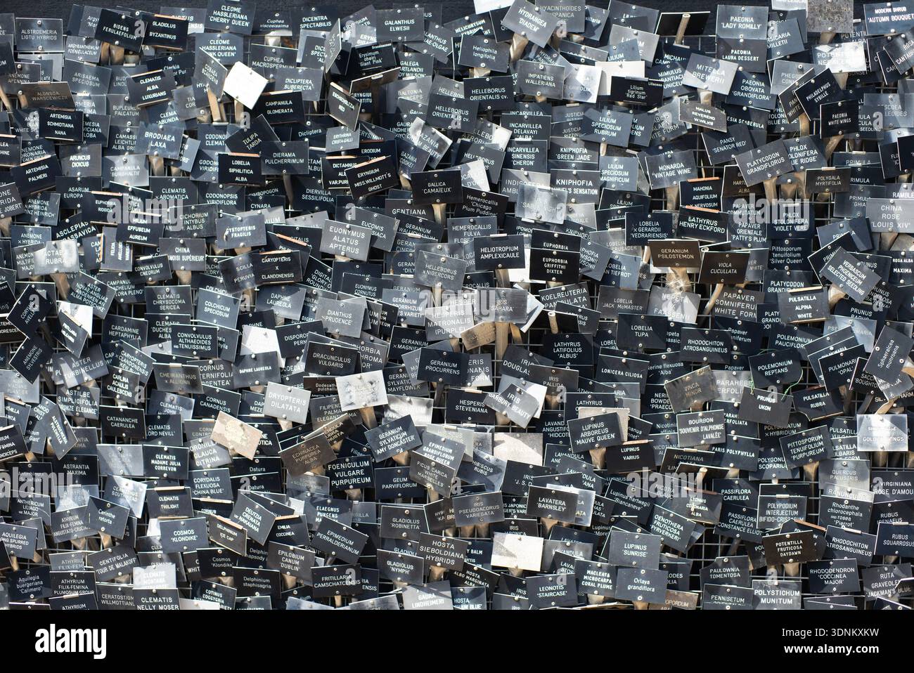 Raccolta delle etichette degli impianti Foto Stock