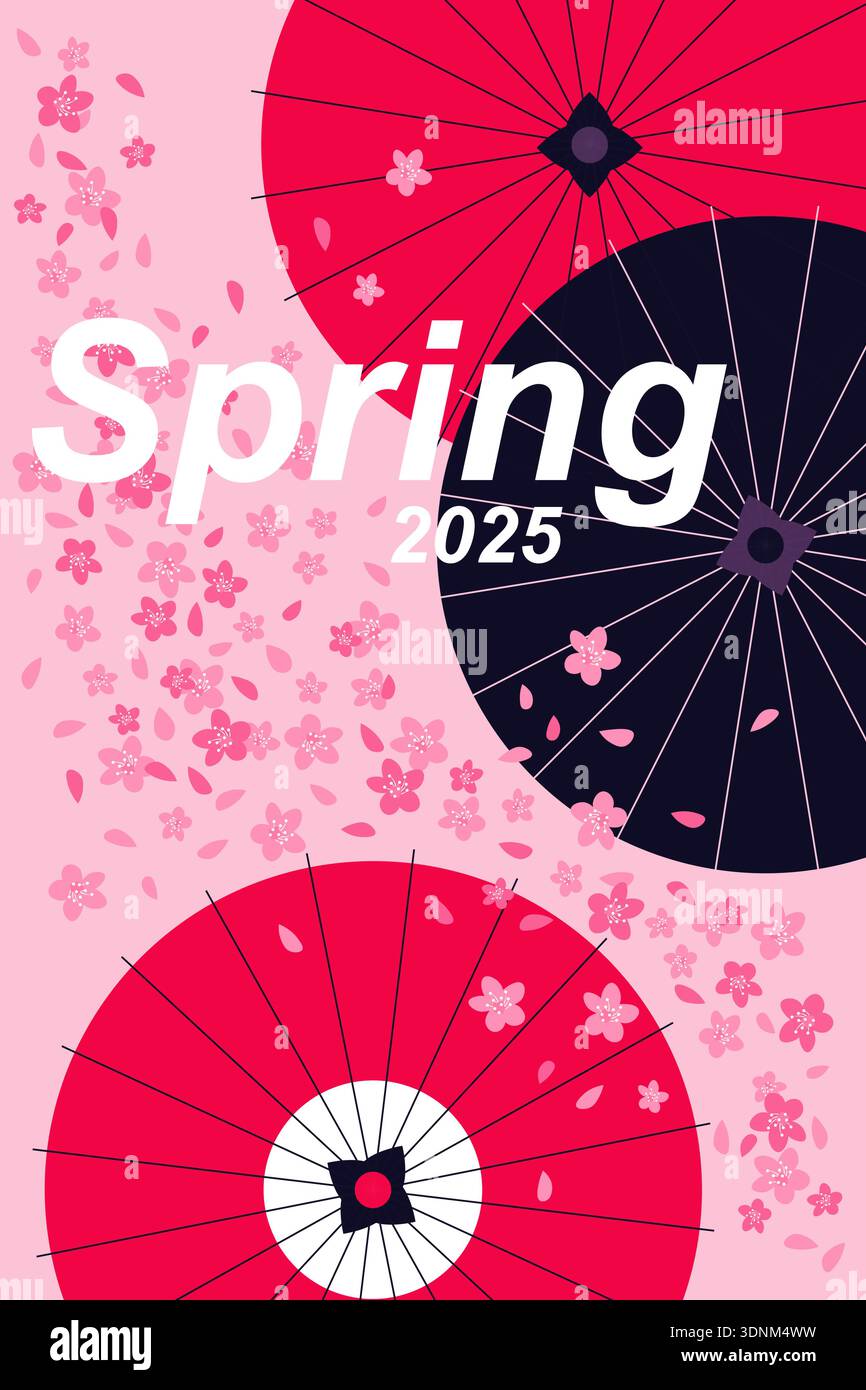 Ombrelli giapponesi tradizionali tra fiori di ciliegio e petali in primavera, illustrazione vettoriale su sfondo rosa. Illustrazione Vettoriale
