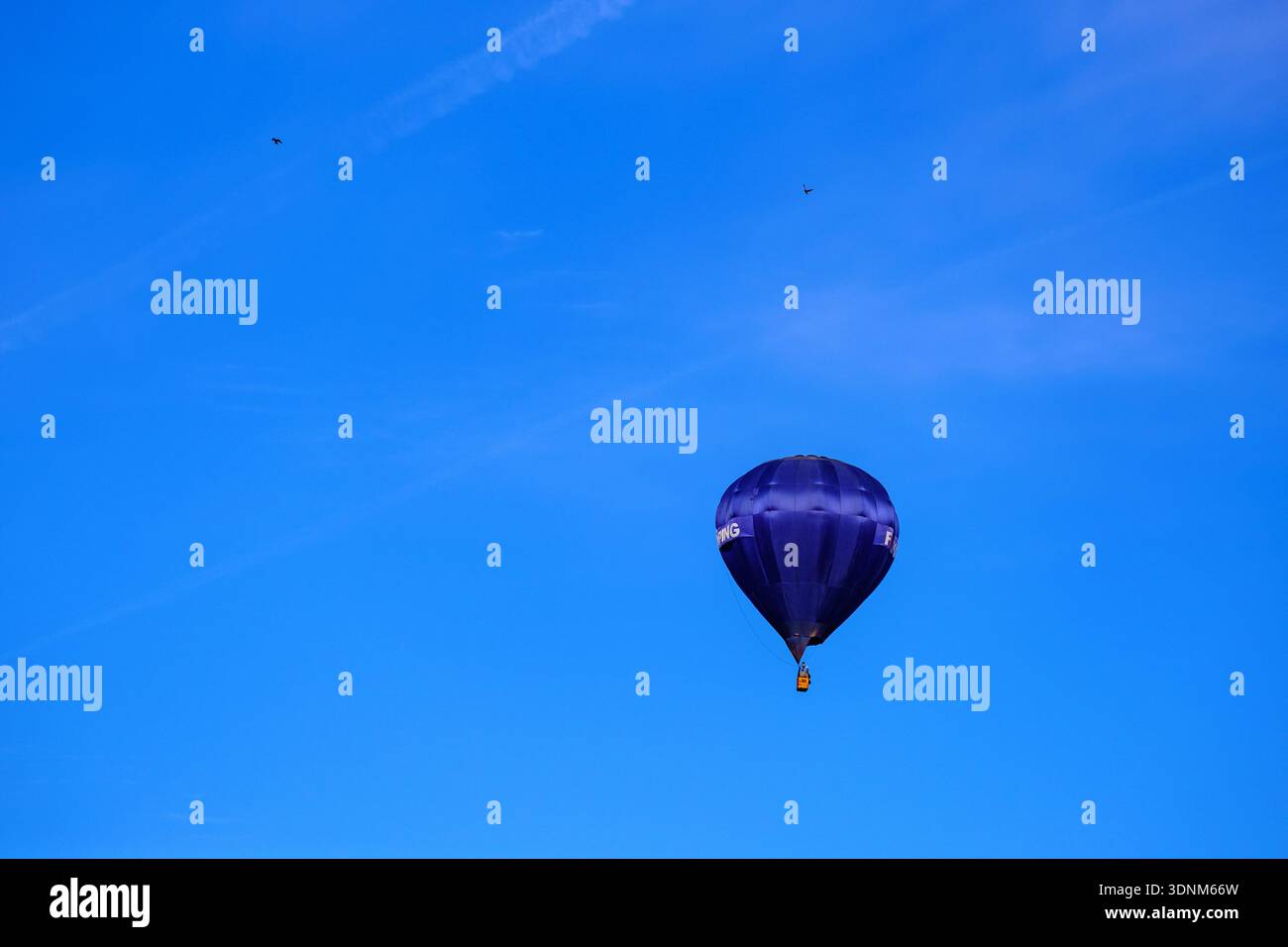 Mongolfiera in cielo Foto Stock