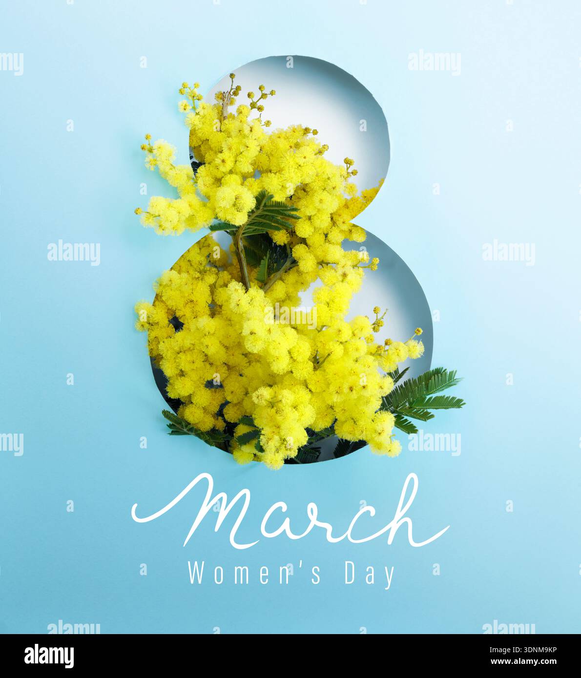 Mimosa in 8 marzo - testo per la giornata della donna - moderno biglietto di auguri Foto Stock