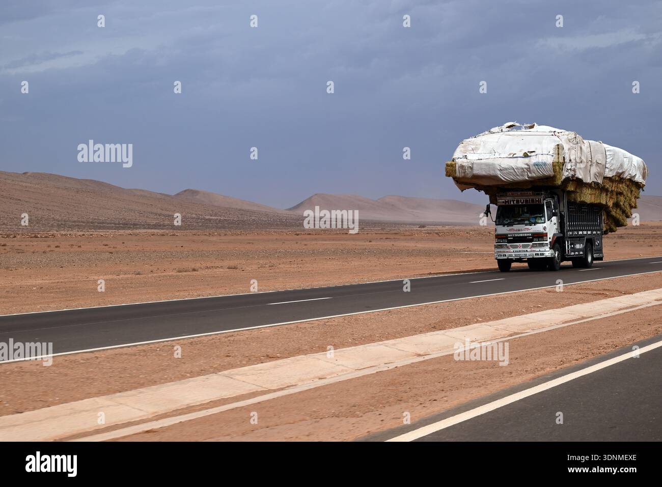 A nord di Tan Tan, un camion giapponese è sovradimensionato e carico di paglia. Foto Stock