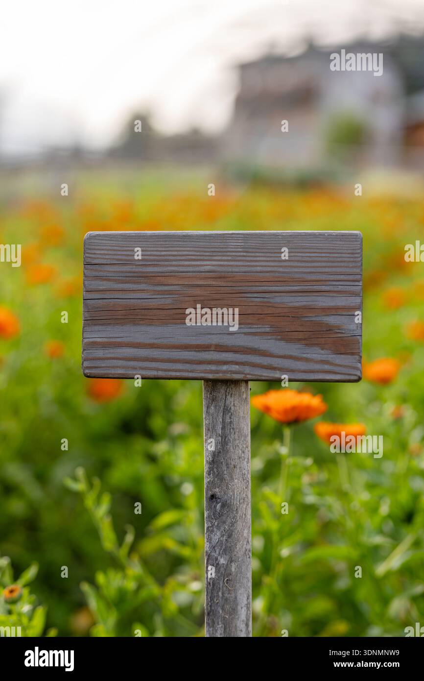 Insegna di legno vuota, tavolozza verde mandarino ocra, bokeh da giardino fiorito, mockup segnaletica esterna, sfondo naturale rustico Foto Stock