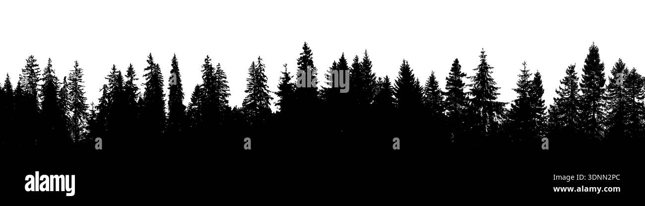 Sfondo foresta, banner sagoma di pino paesaggio abete Illustrazione Vettoriale
