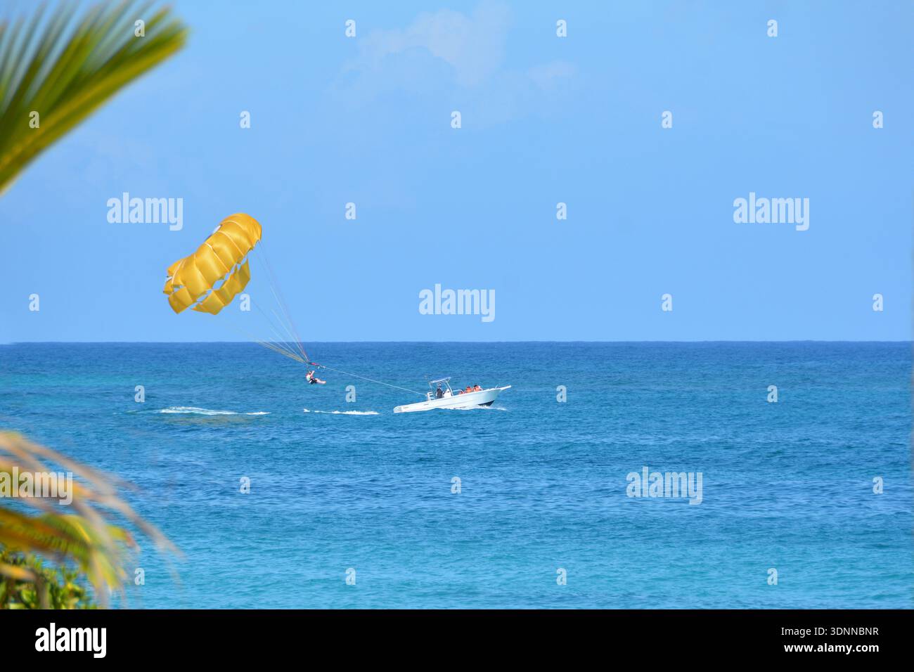 Uomo su un parasail che viene sollevato nel cielo Foto Stock