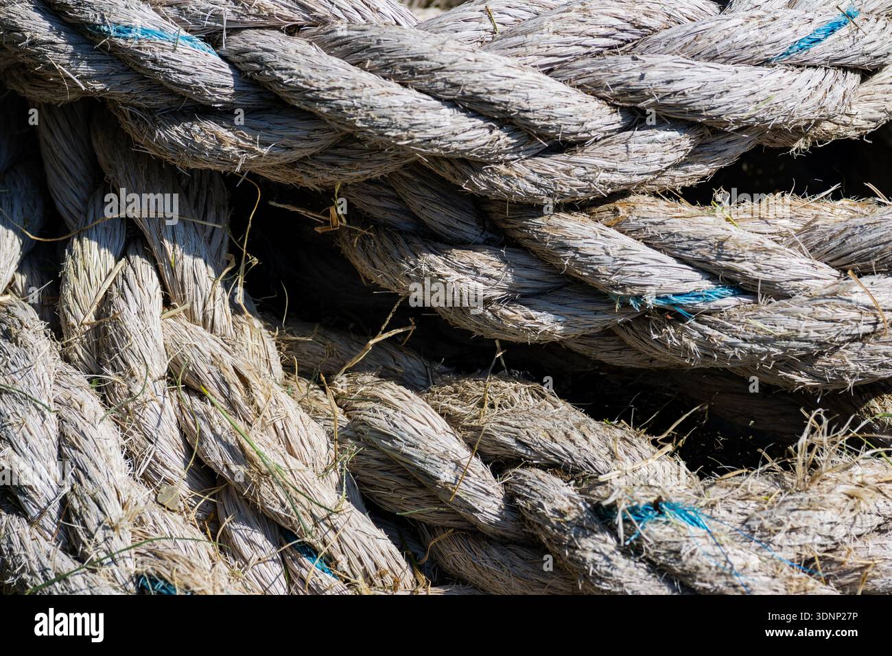 Una dettagliata fotografia ravvicinata di corde nautiche bianche con una piccola farfalla arancione che riposa tra le spesse fibre intrecciate Foto Stock
