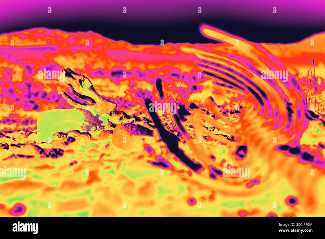 Scheletro di cervo a infrarossi nel vibrante paesaggio della mappa del gradiente del deserto Foto Stock