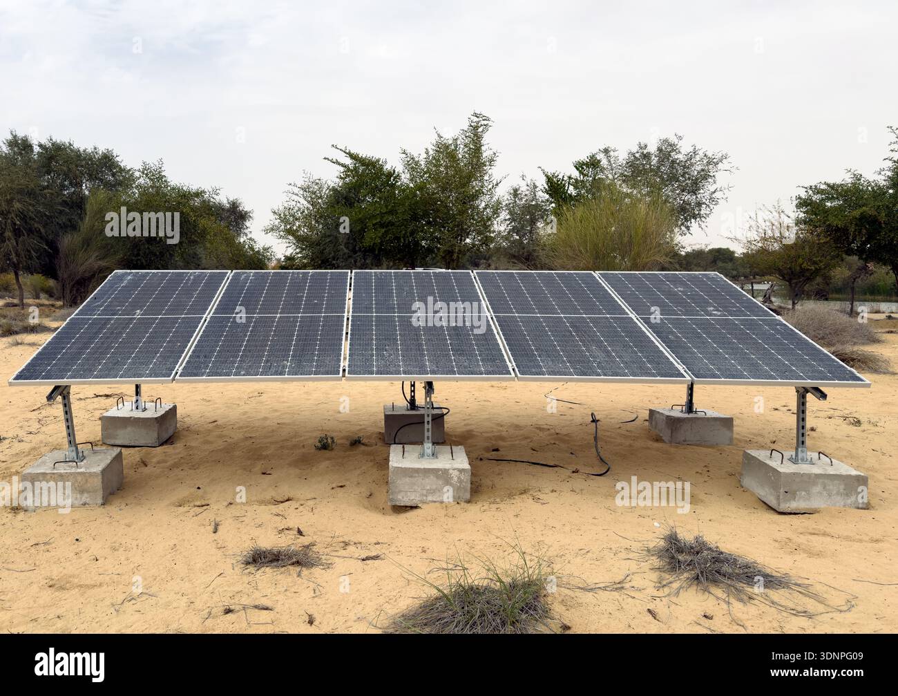 Installazione di pannelli solari nella riserva naturale del deserto, fornendo energia pulita fuori rete e promuovendo lo sviluppo sostenibile Foto Stock