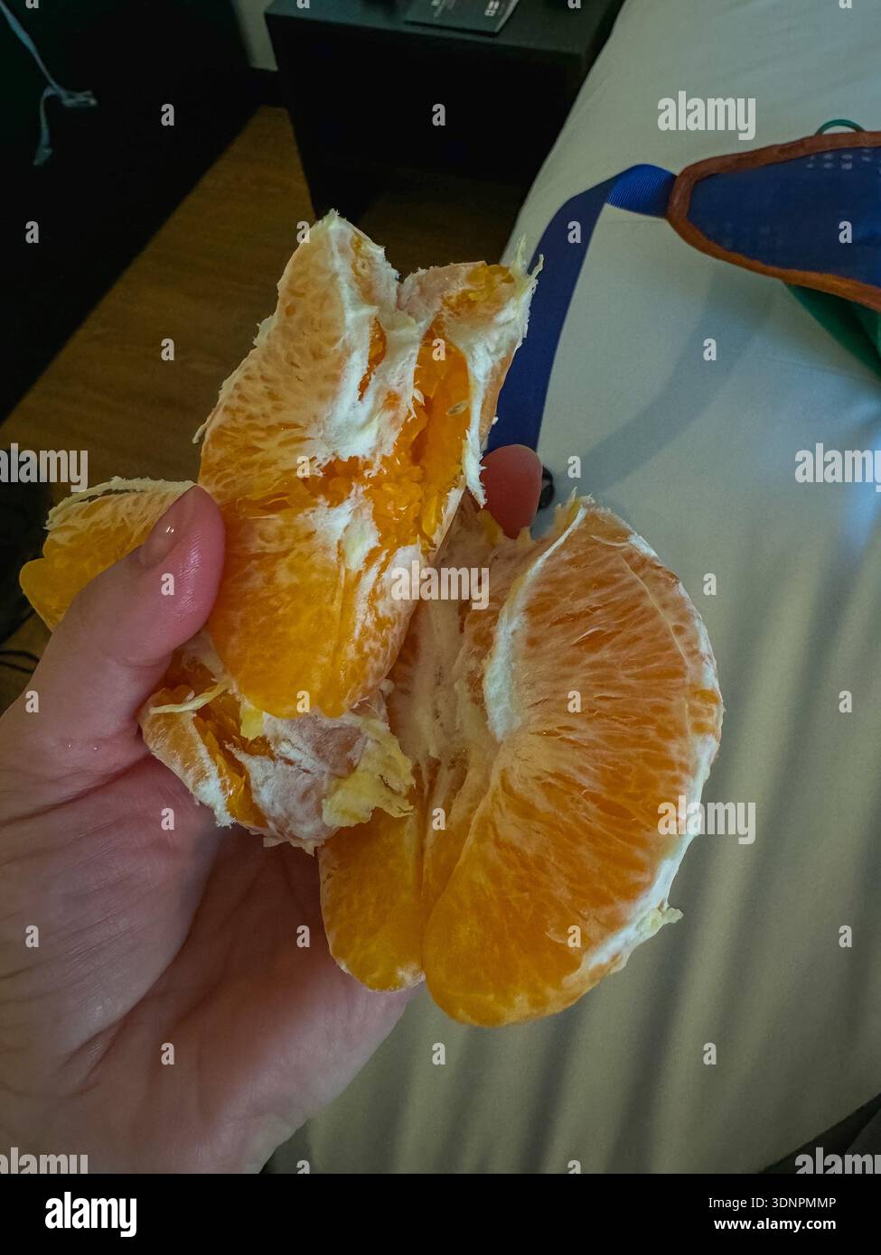Spicchi di arancia fresca in mano, primo piano di agrumi sbucciati con consistenza succosa e colore brillante. L'immagine supporta un'alimentazione sana, nutrizione Foto Stock