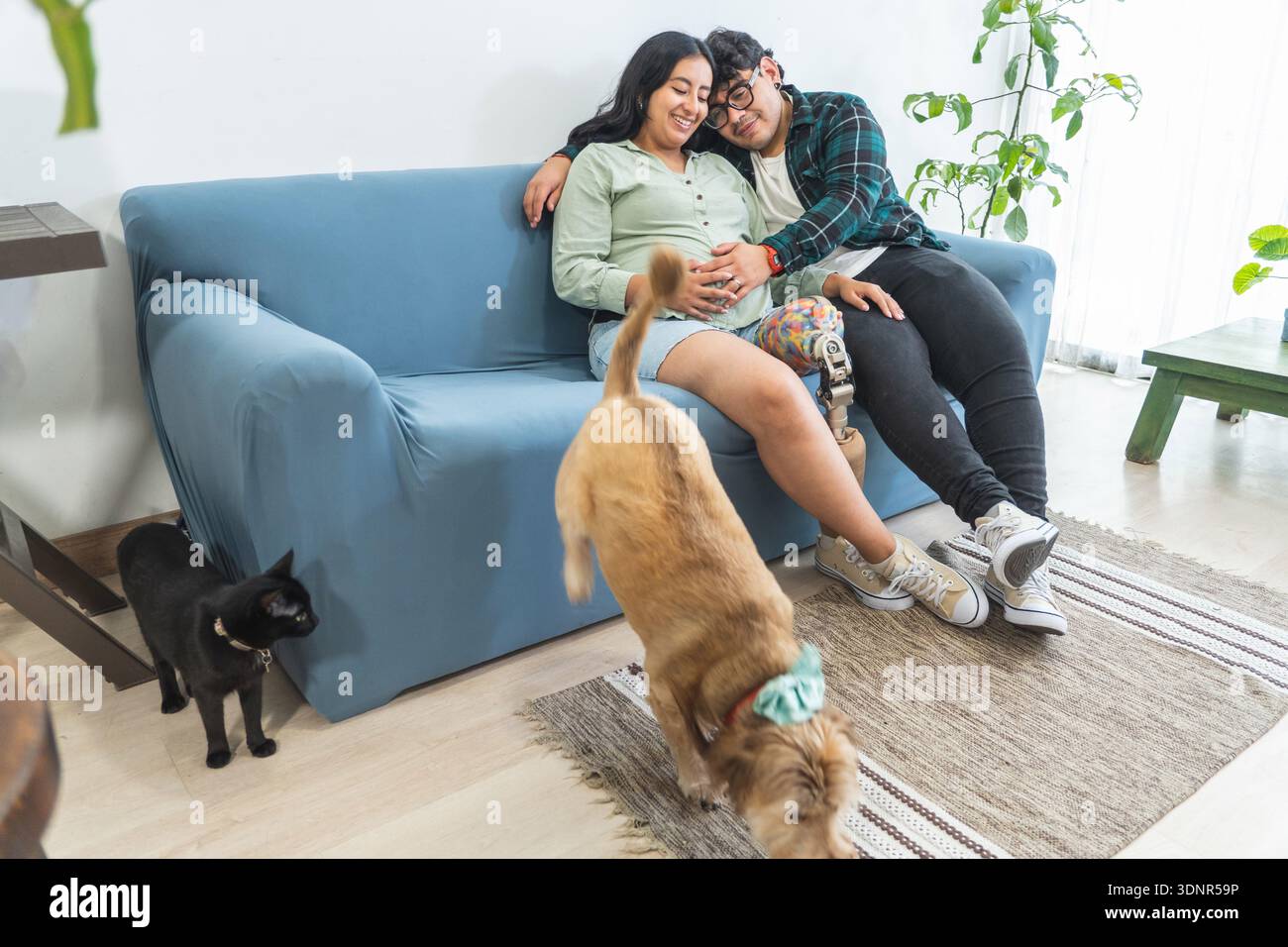 Donna incinta felice e partner con protesi gambe abbracciate sul divano a casa con animali domestici Foto Stock